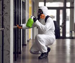 Santa Maria, CA Mold Remediation Company